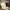 https://res.cloudinary.com/billionhands/image/upload/v1775088015/items/i2pmog0ve35cilnfneue.jpg-2cover