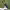 https://res.cloudinary.com/billionhands/image/upload/v1775088240/items/hbztqhjqblamkx7wder7.webp-3cover