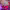 https://res.cloudinary.com/billionhands/image/upload/v1775088913/items/xqwxwagildfjhrbnyxdr.webp-2cover