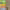 https://res.cloudinary.com/billionhands/image/upload/v1775089295/items/jxmsqq5ch5edltth0uzy.webp-0cover