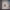 https://res.cloudinary.com/billionhands/image/upload/v1775089422/items/gwl5d81f0yyzz7ekmevm.webp-1cover