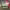 https://res.cloudinary.com/billionhands/image/upload/v1775089447/items/dqmf6uxrnfjx8ijvyzj5.jpg-2cover