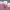https://res.cloudinary.com/billionhands/image/upload/v1775089680/items/j5bamd8ktkvj7uktfl5q.png-3cover