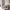 https://res.cloudinary.com/billionhands/image/upload/v1775090900/items/gxhrbqoeopfdxg7mwlk1.png-0cover