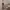 https://res.cloudinary.com/billionhands/image/upload/v1775090900/items/vblzi5ven31rnkvfzopy.jpg-2cover