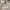 https://res.cloudinary.com/billionhands/image/upload/v1775090904/items/xs5inmq1sdoy43jitvh3.png-2cover