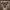 https://res.cloudinary.com/billionhands/image/upload/v1775091633/items/zwoxitzlprwas4jg80zr.jpg-0cover