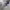 https://res.cloudinary.com/billionhands/image/upload/v1775092528/items/qm1ppt7ay0fgp5jggwjy.webp-2cover