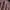 https://res.cloudinary.com/billionhands/image/upload/v1775092535/items/j9eiw791nrwbaw2x4zon.jpg-3cover