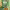 https://res.cloudinary.com/billionhands/image/upload/v1775092829/items/kxgu4z2gbvptq63gvfhx.webp-2cover