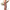 https://res.cloudinary.com/billionhands/image/upload/v1775092991/items/ax0jgcqxlibmeqmb50rk.png-0cover
