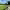 https://res.cloudinary.com/billionhands/image/upload/v1775093372/items/nhx1b0skcanncfrucdev.jpg-2cover