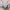 https://res.cloudinary.com/billionhands/image/upload/v1775093409/items/c0tvu2bwgilaqeuqhhqy.webp-0cover