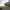 https://res.cloudinary.com/billionhands/image/upload/v1775093414/items/ohfd22zikkuhvbgzuan6.jpg-2cover