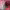 https://res.cloudinary.com/billionhands/image/upload/v1775093499/items/bmlkcc3fzsvyx3qffjgc.jpg-2cover