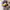 https://res.cloudinary.com/billionhands/image/upload/v1775093546/items/cnm5ppvmxnbaxzw0beiz.jpg-2cover