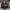 https://res.cloudinary.com/billionhands/image/upload/v1775093550/items/cjzpllyg9pvexquksxkh.avif-2cover