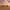 https://res.cloudinary.com/billionhands/image/upload/v1775093623/items/flhq5r5sqsk5mxfjwyub.png-1cover