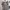 https://res.cloudinary.com/billionhands/image/upload/v1775094252/items/qgg6j2wjxjbgilk5jxtn.avif-1cover