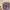 https://res.cloudinary.com/billionhands/image/upload/v1775094262/items/zl8ktjjym8zb3tumxssm.jpg-3cover