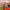 https://res.cloudinary.com/billionhands/image/upload/v1775094831/items/rxw24gjwlxdfraes07gb.jpg-2cover