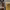 https://res.cloudinary.com/billionhands/image/upload/v1775095169/items/nxrye42xvcbkbbpders2.jpg-0cover