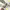 https://res.cloudinary.com/billionhands/image/upload/v1775095530/items/phnnarpg1rp58ix2vtaa.webp-1cover