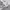 https://res.cloudinary.com/billionhands/image/upload/v1775095574/items/yn5sgk2edmpuac4rgguq.jpg-2cover