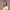 https://res.cloudinary.com/billionhands/image/upload/v1775095579/items/rzx0qutuegb60jm064gf.webp-1cover