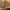 https://res.cloudinary.com/billionhands/image/upload/v1775095704/items/apxe29igrxge9kjgn5t0.webp-2cover