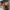 https://res.cloudinary.com/billionhands/image/upload/v1775096021/items/ncpymkifqljsirwzpekb.webp-2cover