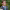 https://res.cloudinary.com/billionhands/image/upload/v1775096325/items/oam1tzuycv9kbokedjom.jpg-0cover