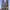 https://res.cloudinary.com/billionhands/image/upload/v1775098365/items/lsgw6e3jg0p7bxexdrv4.webp-0cover