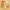 https://res.cloudinary.com/billionhands/image/upload/v1775098888/items/vjobjxjvdgaujki2makn.jpg-1cover