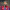 https://res.cloudinary.com/billionhands/image/upload/v1775099189/items/brai6kygdjw2w4hoofgs.jpg-1cover