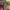 https://res.cloudinary.com/billionhands/image/upload/v1775099239/items/drbvt6ef1bztymmworzv.jpg-3cover