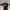 https://res.cloudinary.com/billionhands/image/upload/v1775099241/items/rgfbb1quiuhrfo89ozrw.jpg-3cover