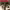 https://res.cloudinary.com/billionhands/image/upload/v1775099535/items/suh9opbb6dwdrwwbepyy.jpg-0cover