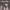 https://res.cloudinary.com/billionhands/image/upload/v1775099539/items/mvbjbgdyuqfolhybaglj.jpg-0cover