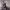 https://res.cloudinary.com/billionhands/image/upload/v1775099643/items/xlcpbzse7vhre7gxxfpd.jpg-0cover