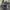 https://res.cloudinary.com/billionhands/image/upload/v1775099644/items/ph508zro22r3xs8rzxyz.jpg-0cover