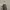 https://res.cloudinary.com/billionhands/image/upload/v1775099645/items/au6gz29pvbelchwrvdk8.jpg-1cover