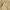 https://res.cloudinary.com/billionhands/image/upload/v1775099645/items/j8cjimtlf61furr8zecl.jpg-2cover
