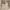 https://res.cloudinary.com/billionhands/image/upload/v1775099646/items/bnvvjcvdlcybzml6pv1c.jpg-3cover
