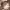 https://res.cloudinary.com/billionhands/image/upload/v1775099647/items/wgyvdfaajhar28ttfemk.webp-0cover