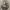 https://res.cloudinary.com/billionhands/image/upload/v1775099649/items/agipcmn5gylltwjafykj.jpg-2cover
