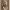https://res.cloudinary.com/billionhands/image/upload/v1775099651/items/ugwzdqrfycaemlbzhwno.jpg-3cover