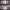 https://res.cloudinary.com/billionhands/image/upload/v1775100270/items/ync6twycndkdkjlv3eal.jpg-0cover