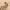 https://res.cloudinary.com/billionhands/image/upload/v1775100544/items/ctzsjwddwa7t7f2gfobv.webp-1cover