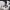 https://res.cloudinary.com/billionhands/image/upload/v1775100548/items/gfacnojrigtipnwynfok.webp-1cover